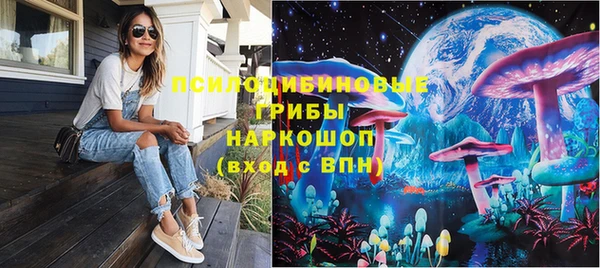 амф Аркадак